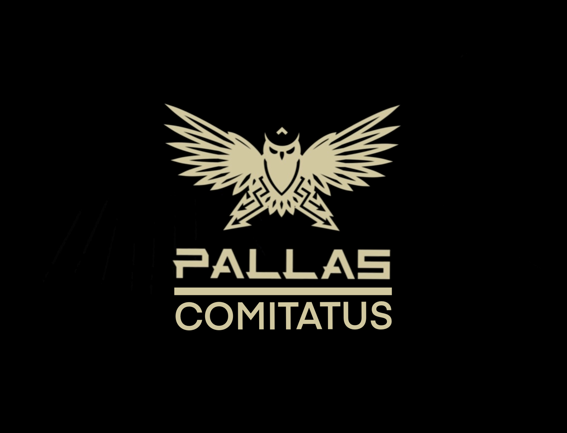 PALLAS COMITATUS